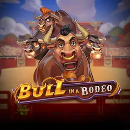 Bull in a Rodeo
